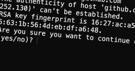 SSH RSA key fingerprint